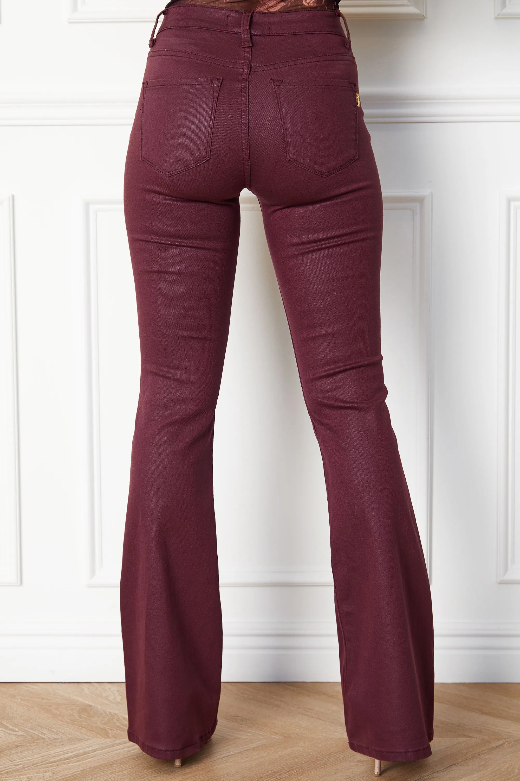 Fran Burgundy Vegan Leather Pants